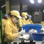 So sánh Nhật Bản và Việt Nam