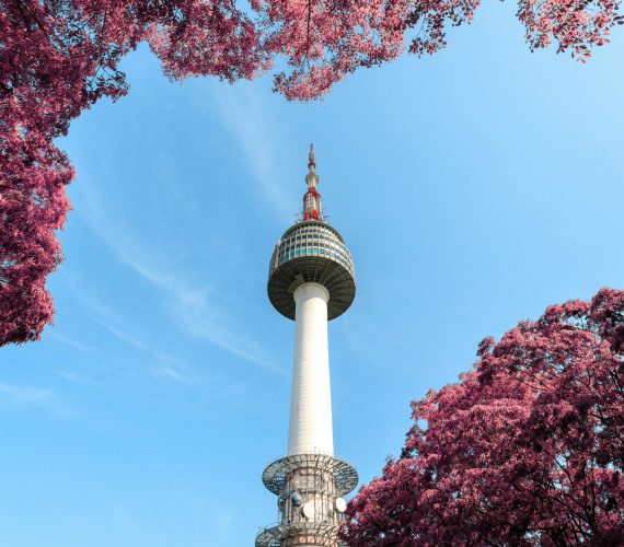 Low-Angle Photo of N Seoul Tower